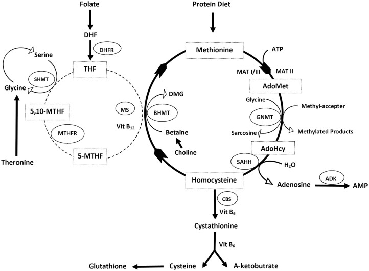 Figure 1.