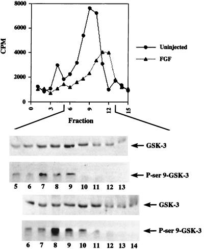 FIG. 7