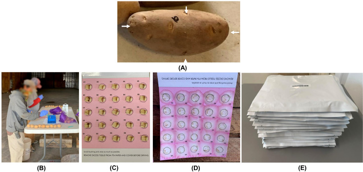 Figure 1