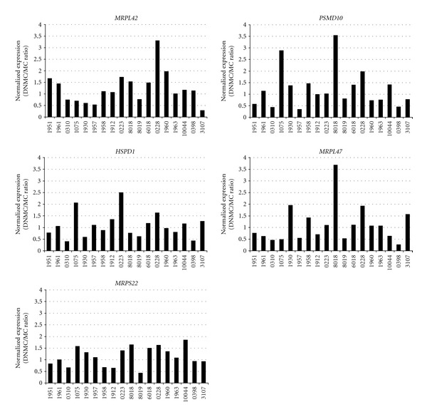 Figure 2