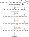 Figure 5: