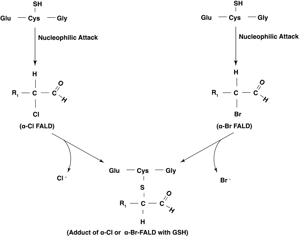 Figure 11: