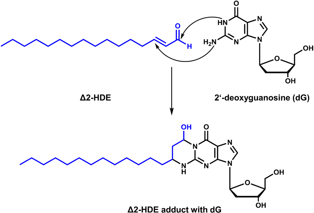 Figure 10: