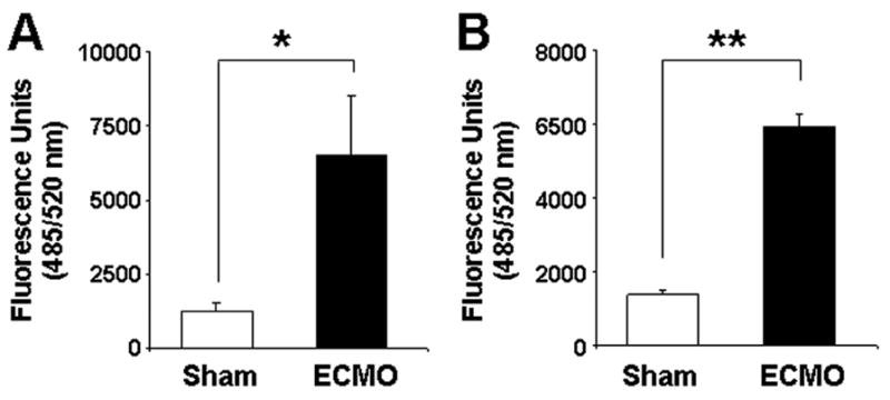 Fig.2