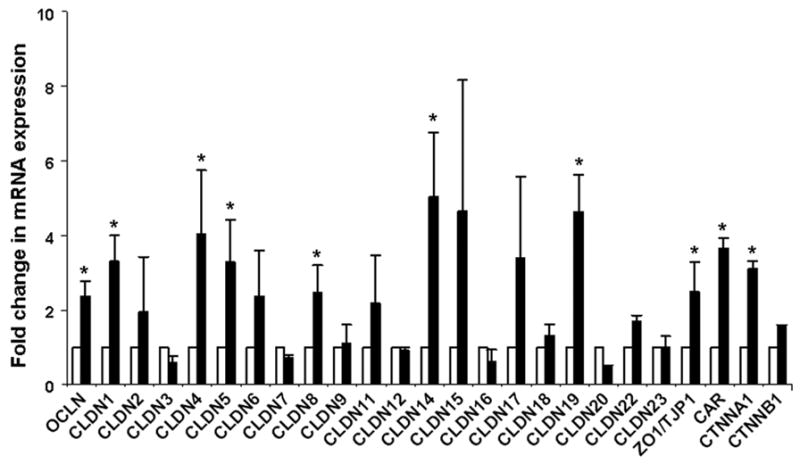 Fig.3