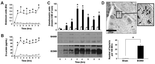 Fig.1