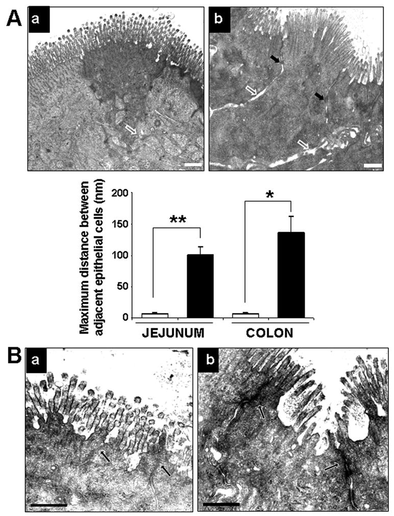 Fig.4