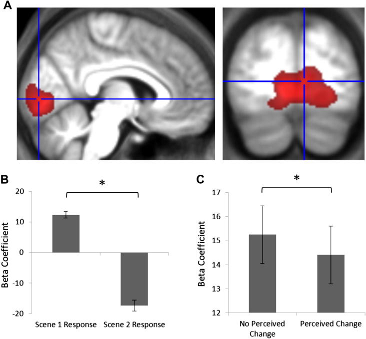 Fig. 6