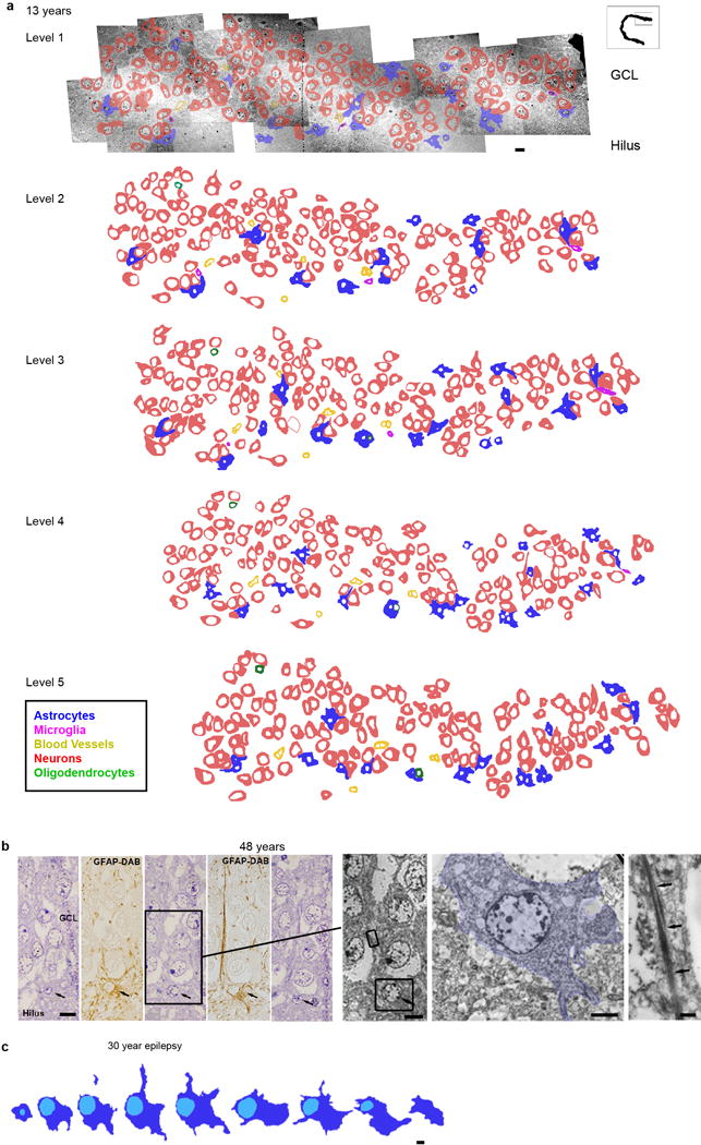 Extended Data Figure 4