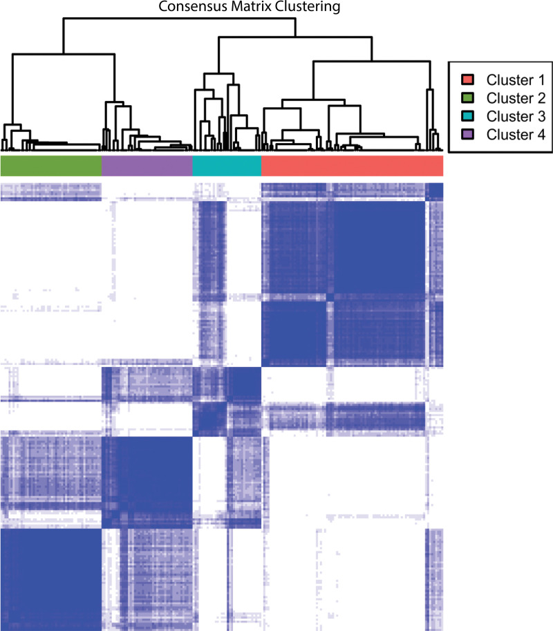 Conditional density function demonstrating consensus clustering of radiomic features at a k value of 4. For a set of possible k values of 1–6, we iteratively subsampled 80% of the data set, hierarchically clustered each subsample, and then assessed the relative frequency that each patient was clustered with each other patient for each k value, resulting in a consensus matrix. For each k value, we then computed the change in area under the cumulative distribution function curve of the consensus matrix distribution, which showed how well separated the clusters were. We chose an optimal k value that corresponded to a sharp decrease in this change in area under the receiver operating characteristic curve, which indicated that further gains in separability were negligible after that k value.