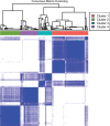 Conditional density function demonstrating consensus clustering of
radiomic features at a k value of 4. For a set of possible k values of
1–6, we iteratively subsampled 80% of the data set, hierarchically
clustered each subsample, and then assessed the relative frequency that each
patient was clustered with each other patient for each k value, resulting in
a consensus matrix. For each k value, we then computed the change in area
under the cumulative distribution function curve of the consensus matrix
distribution, which showed how well separated the clusters were. We chose an
optimal k value that corresponded to a sharp decrease in this change in area
under the receiver operating characteristic curve, which indicated that
further gains in separability were negligible after that k value.