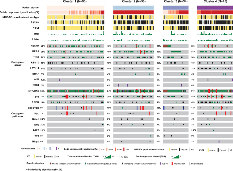 OncoPrint of clinical-pathologic and genomic variables for all patients with clinical stage I lung adenocarcinoma broken down by radiomic consensus clustering. Columns represent patients within each cluster of radiomics features, and rows represent the frequencies of alterations of all individually analyzed oncogenic genes and 10 canonical oncogenic pathways. Cluster characteristics were compared using Fisher or χ2 exact test for categorical data and Kruskal-Wallis test for continuous data. * Associations between radiomic clusters and clinicopathologic or genomic variables are significant (P < .05). FGA = fraction of genome altered, LVI = lymphovascular invasion, NA = not applicable, MIP = micropapillary, SOL = solid, STAS = spread through air spaces, TMB = tumor mutational burden.