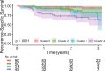 Two-year recurrence-specific survival for each of the four radiomic
consensus clusters of the overall study cohort.