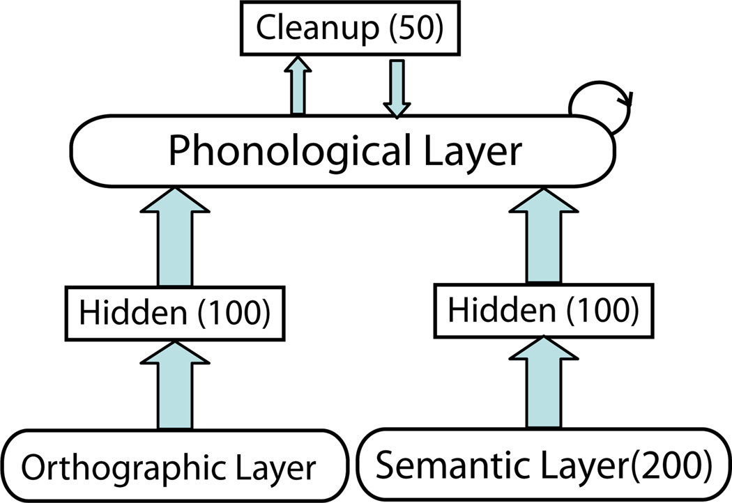 Orthographic influences on division of labor in learning to read ...