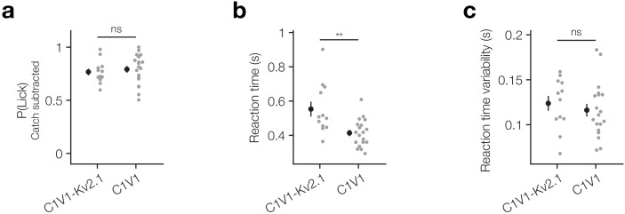 Figure 1—figure supplement 6.