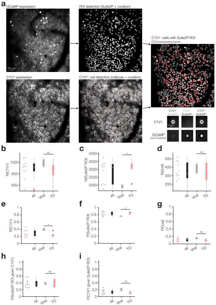 Figure 1—figure supplement 1.