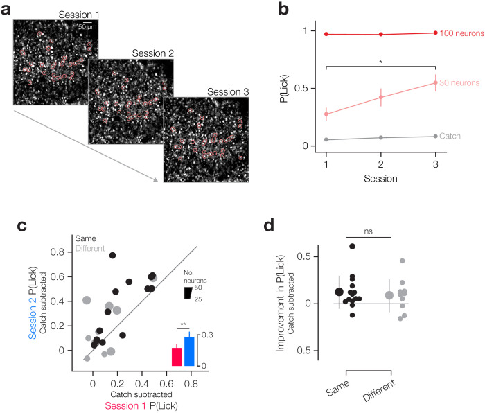 Figure 2—figure supplement 3.