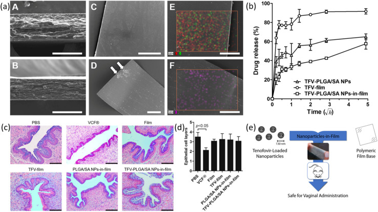 Fig. 13