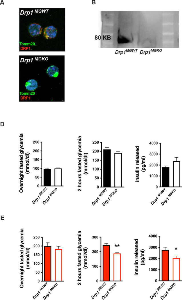 FIGURE 3: