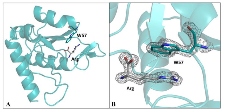 Figure 7