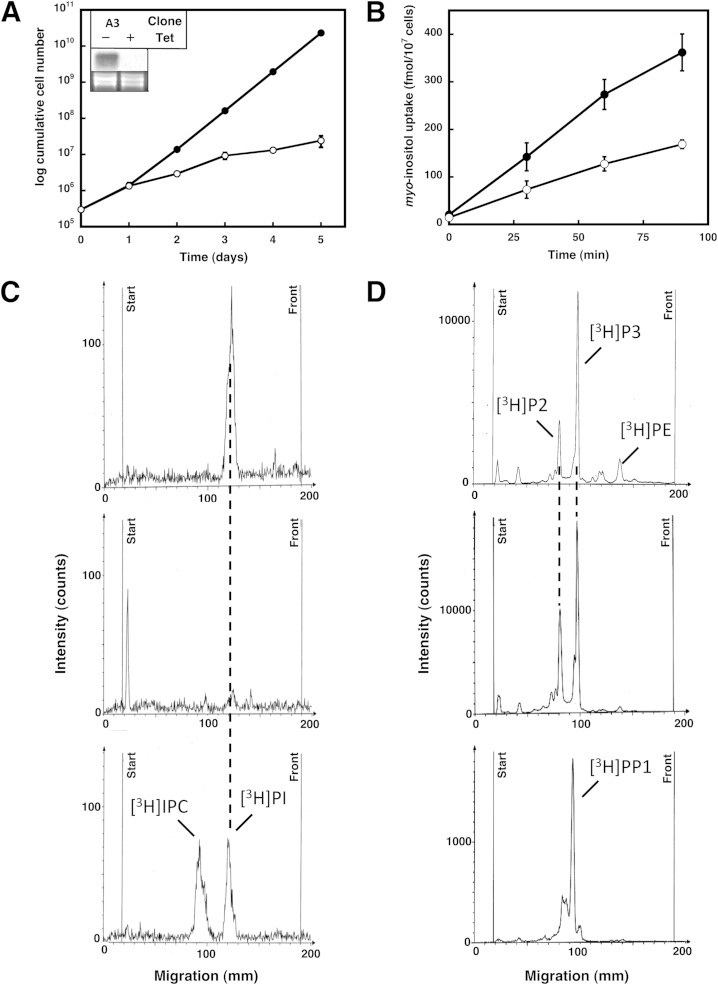 FIG 1