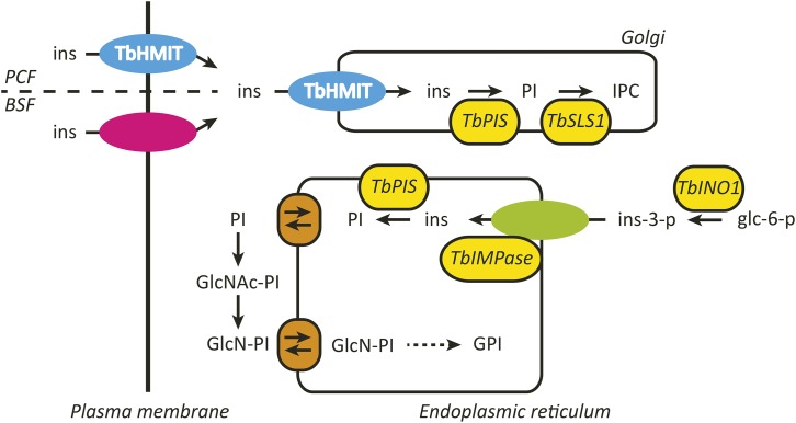 FIG 4