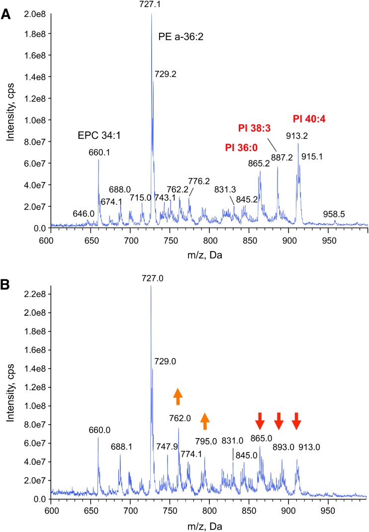 FIG 2