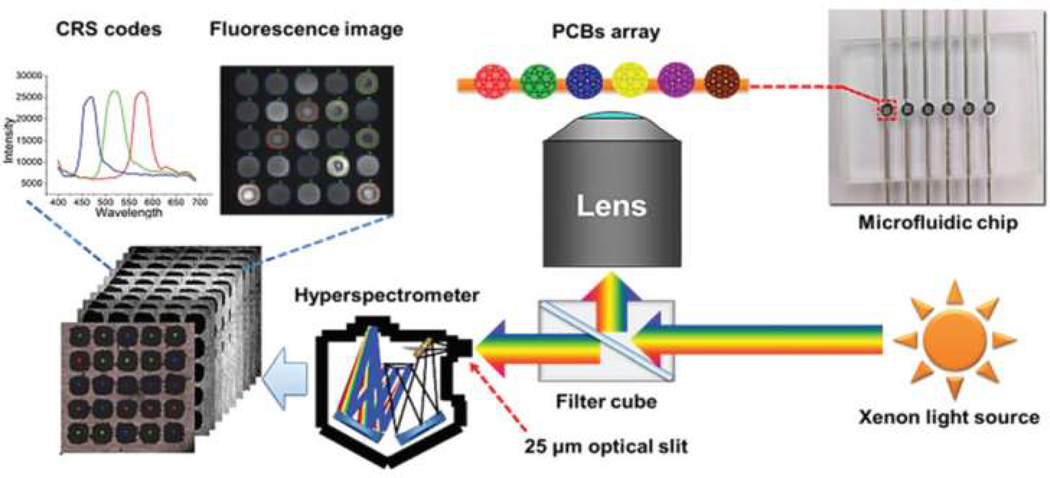 Figure 10.