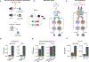 Extended Data Fig. 8 |