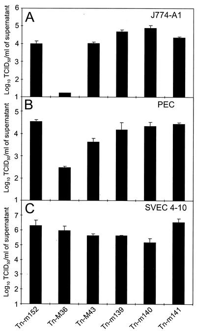 FIG. 6.