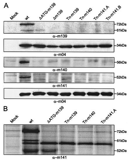 FIG. 5.