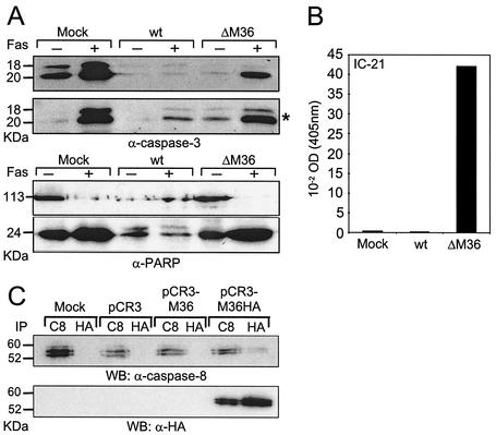 FIG. 8.