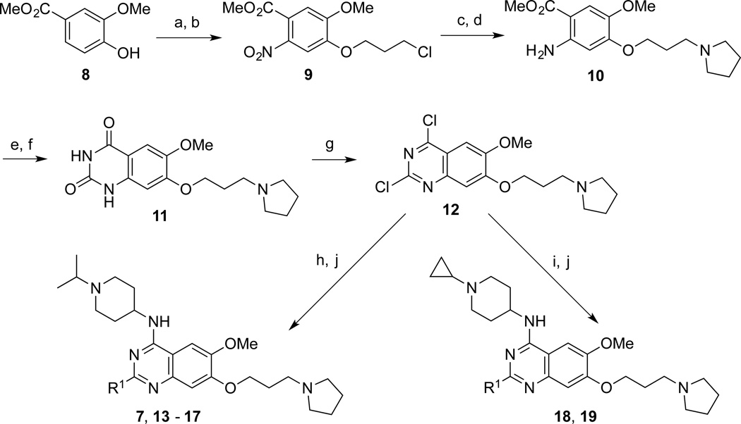 Scheme 1