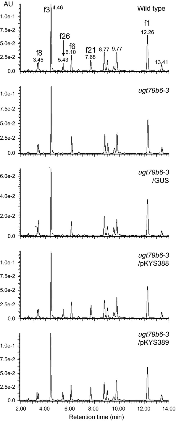 Figure 5