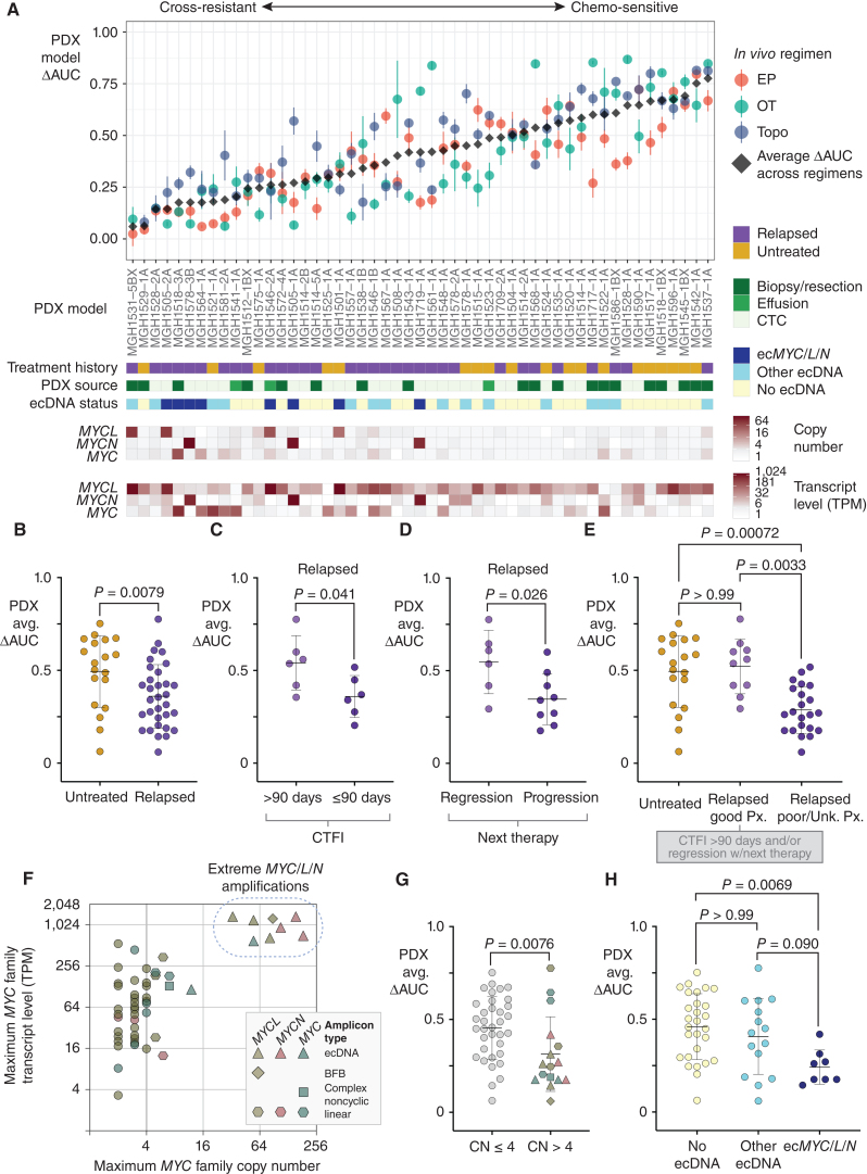 Figure 6. ecDNA amplifications of MYC paralogs are recurrent in cross-resistant PDX models derived from patients with relapsed SCLC. A, Integrated clinical–functional–molecular landscape of MYC paralogs across the SCLC PDX panel. Top scatter plot: In vivo cross-resistance metrics. Models are arranged left-to-right by increasing the average of ΔAUC for EP, OT, and topotecan (ΔAUCavg). Error bars = SEM of ΔAUC for each regimen. Bars below (9 total): (1) Annotated clinical treatment history (chemo-naïve vs. post-relapse), (2) PDX source (CTC vs. biopsy vs. effusion), (3) ecDNA status (ecMYC/L/N vs. other ecDNA vs. no ecDNA), (4–6) MYC paralog copy numbers, and (7–9) MYC paralog transcript levels. B–E, Performance of PDX ΔAUCavg as a metric of clinical cross-resistance by comparison with patient clinical histories. B, Comparison of ΔAUCavg of PDX models derived from patients with untreated vs. relapsed SCLC. C, Comparison of ΔAUCavg of PDX models derived from patients after first-line therapy with CTFI > 90 days (platinum-sensitive) vs. ≤ 90 days (platinum-resistant). D, Comparison of ΔAUCavg of PDX models derived from patients with relapsed SCLC who responded to the next line of chemotherapy after model derivation vs. those who received chemotherapy but did not have significant tumor regression. E, Refinement of Fig. 6B to compare PDX ΔAUCavg between models derived from untreated patients, relapsed patients with positive prognostic features described in C and D (platinum sensitivity and response to next therapy), or relapsed patients with unknown or negative prognostic features. F, Comparison of transcript level vs. copy number for the MYC paralog with the highest expression level in each model. Amplicon type is annotated. Solid vertical line at CN = 4, beyond which we classify MYC paralogs as amplified. Models with > 30-copy amplifications form a clear separate cluster (“extreme amplifications,” dashed circle). G, Comparison of ΔAUCavg between models with or without MYC paralog amplifications (CN > 4), with annotation of gene and amplification structure. H, Comparison of ΔAUCavg between models without ecDNAs and models with ecDNAs with or without MYC paralogs. Statistical tests: Mann–Whitney test P values for B–D and G, and Kruskal–Wallis test P values for E and H. Created with BioRender.com.