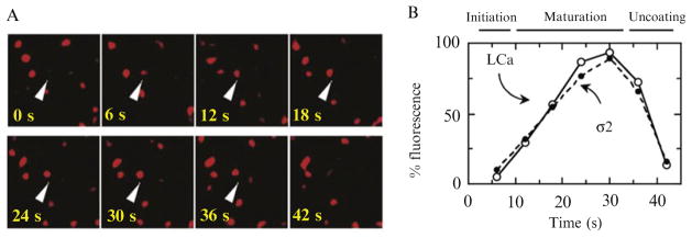 Figure 4.5