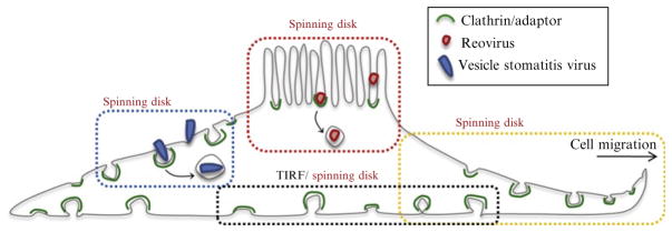 Figure 4.3