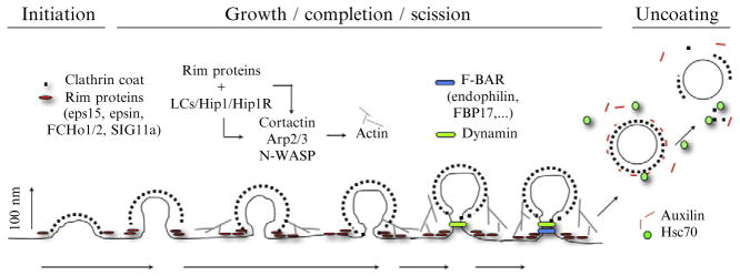 Figure 4.1