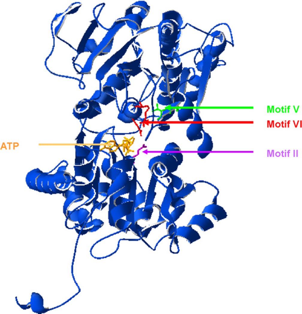 Fig. 9