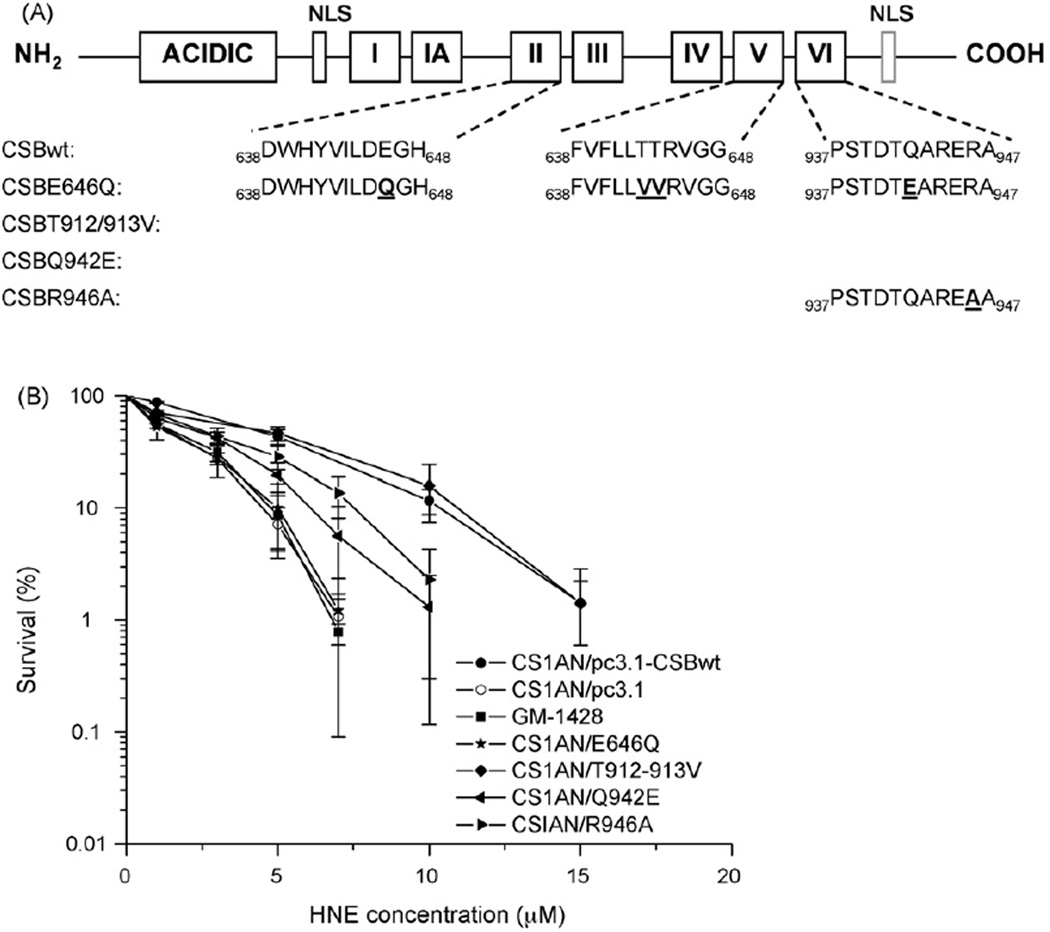 Fig. 8