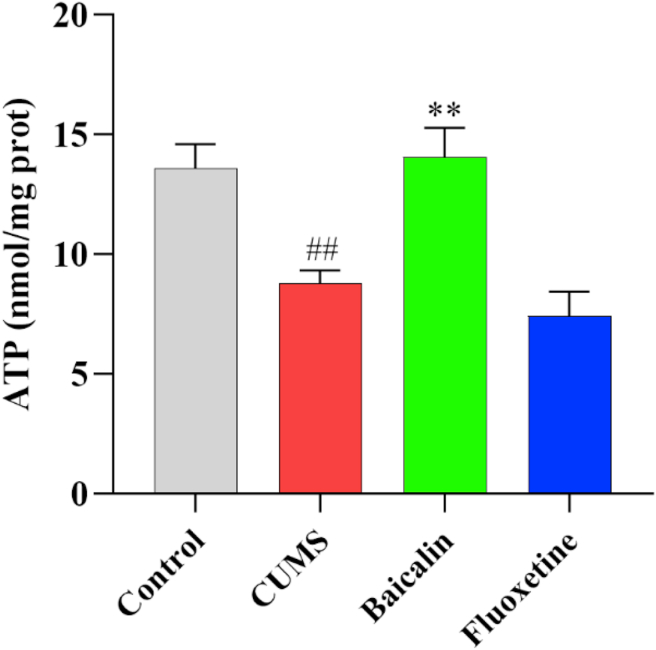 Figure 2