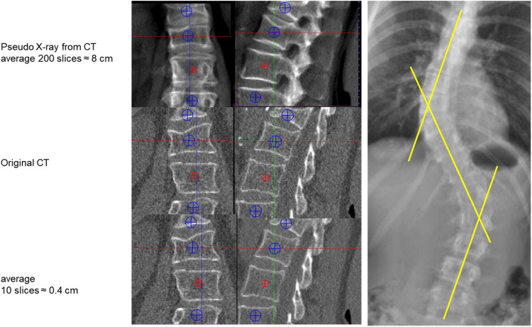 Fig. 2