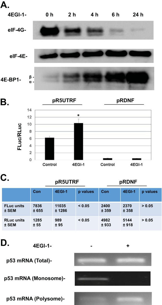 FIG 2