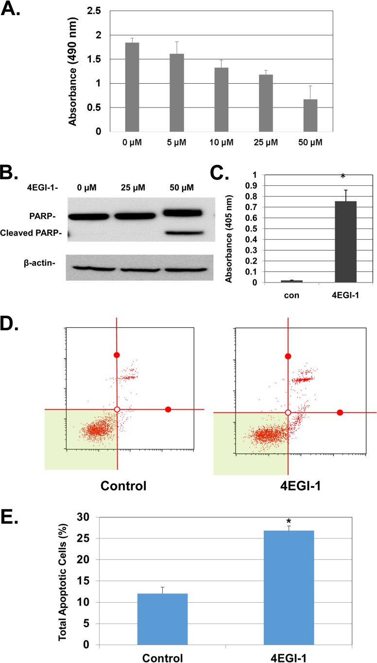 FIG 3