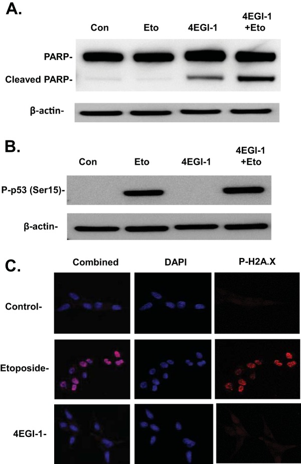 FIG 4