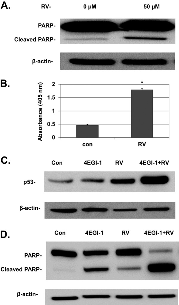 FIG 6