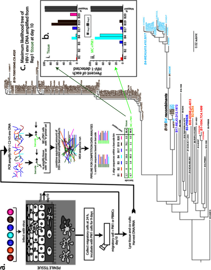 FIG 1