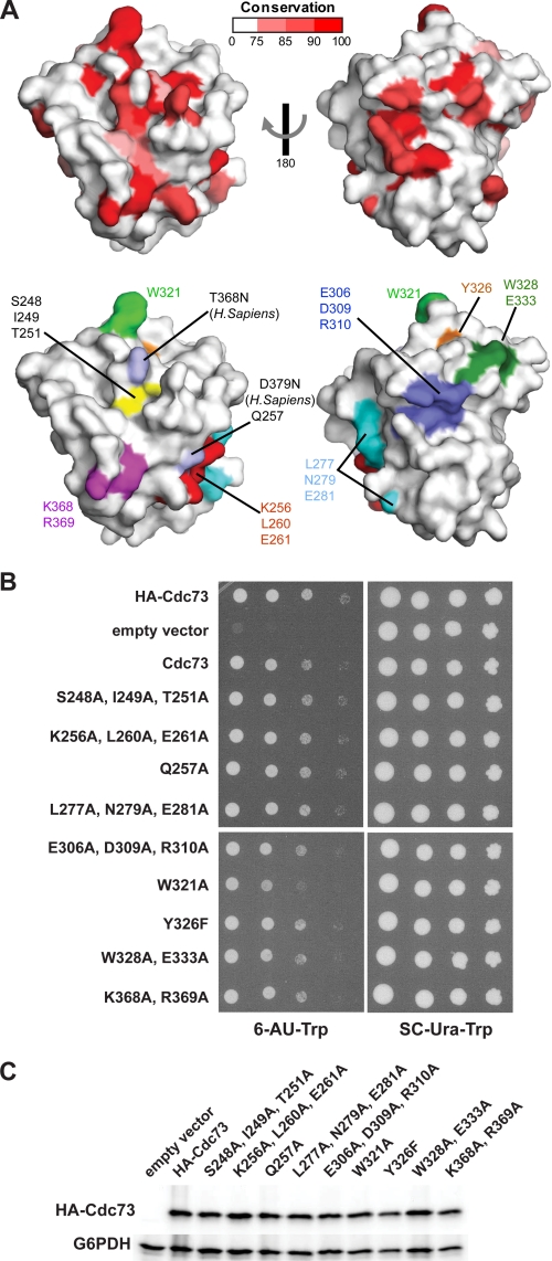 FIGURE 5.