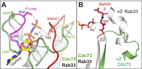 FIGURE 4.