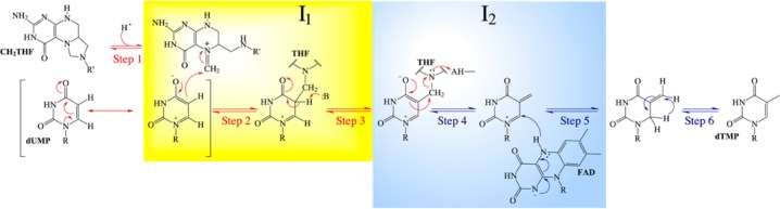 Scheme 4